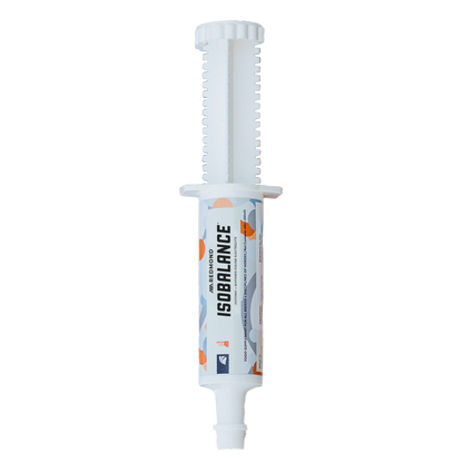 IsoBalance - Horse Electrolyte Paste