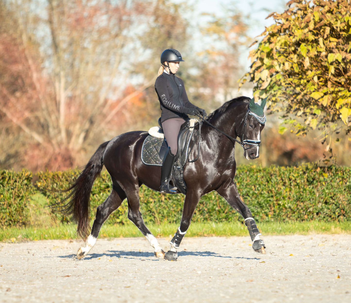 Jade Green Saddle Pad Set