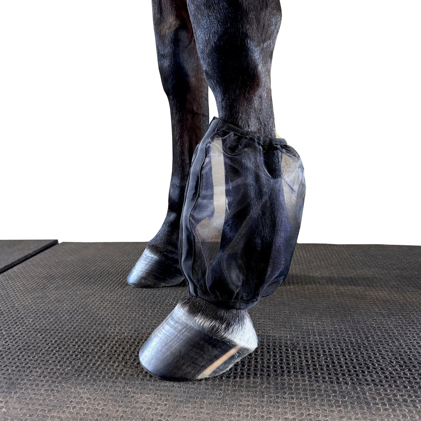 PRO4MANCE | Com4rt Mesh Knee/Pastern Nets