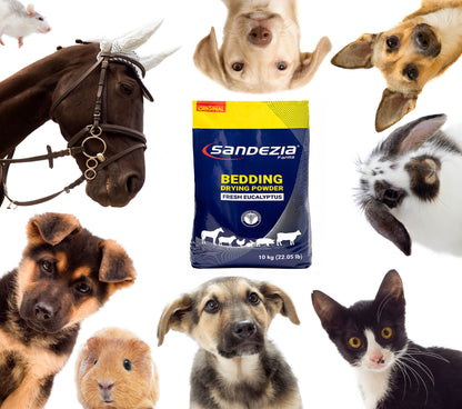 Sandezia Bedding Drying Powder - Order Eliminator, Fresh Eucalyptus