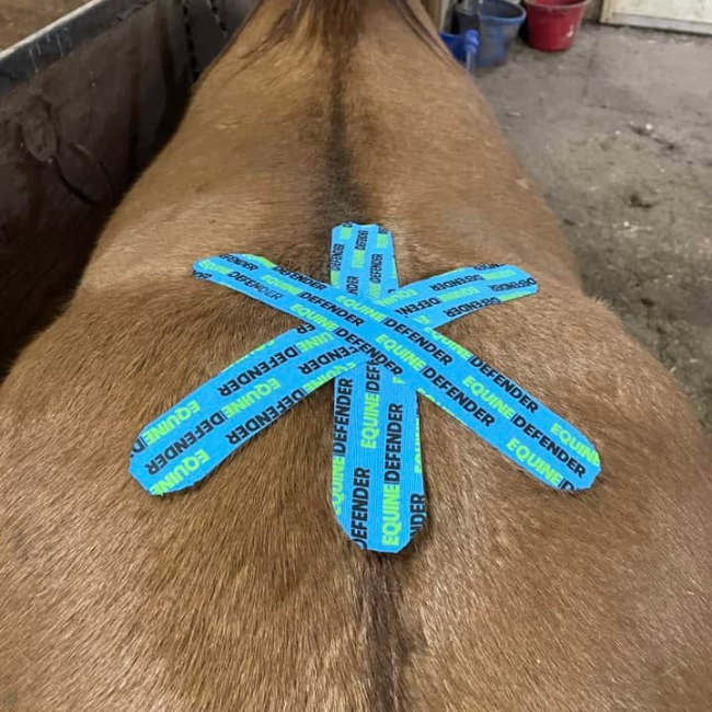 EQUINE|DEFENDER™ Kinesiology Tape