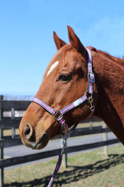 JPC Equestrian - TuffRider Nylon Breakaway Halter & Lead Rope Set