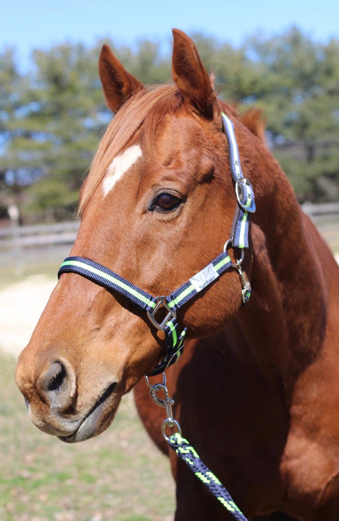JPC Equestrian - TuffRider Nylon Breakaway Halter & Lead Rope Set