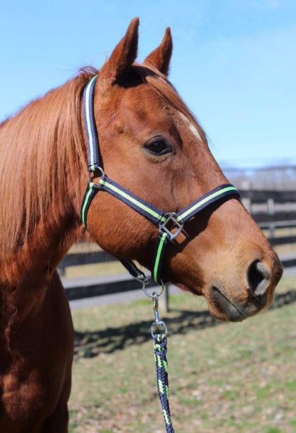 JPC Equestrian - TuffRider Nylon Breakaway Halter & Lead Rope Set