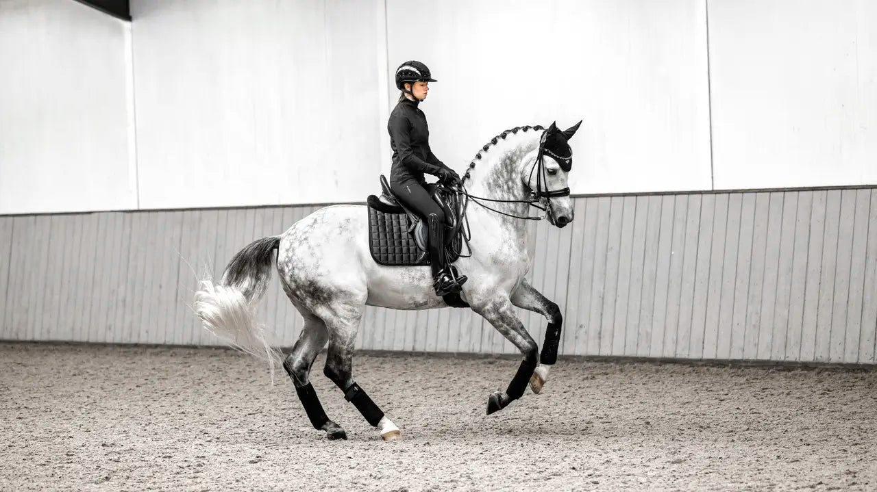 LeMieux Loire Classic Dressage Square