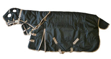 AJ Tack 1200D Waterproof Turnout Horse Blanket with Hood - Black